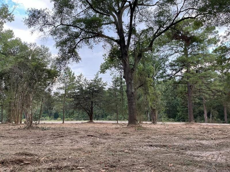 16 ac FM 95-Lot 2, Garrison, TX 75946 for Sale