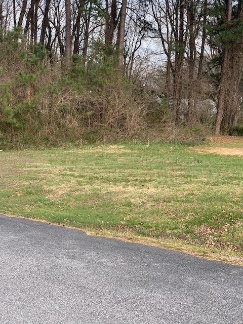 South Hill, Mecklenburg County, VA Commercial Property, Homesites for sale Property ID: 413024235