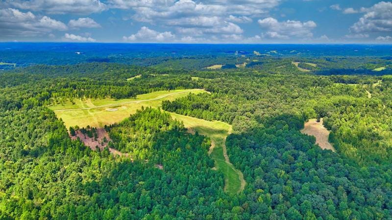Indian Mound, Stewart County, TN Recreational Property, Hunting Property for sale Property ID: 417798080
