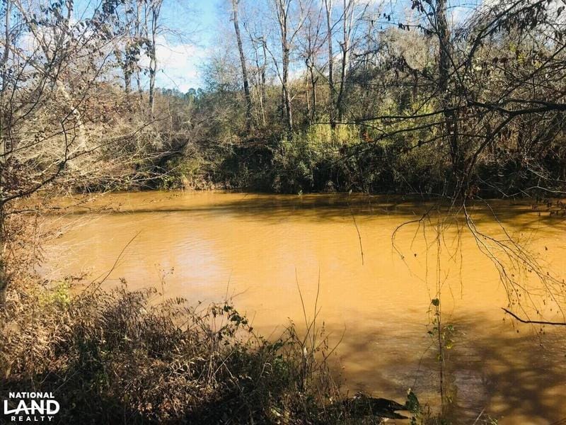 Tallapoosa, Haralson County, GA Undeveloped Land, Riverfront Property, Waterfront Property for sale Property ID: 418545034