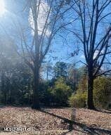 Jackson, Hinds County, MS Undeveloped Land, Homesites for sale Property ID: 416848993