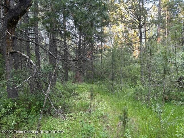 APRX 680 W 7000 SOUTH, Victor, ID 83455 Land For Sale  MLS# 23-1549