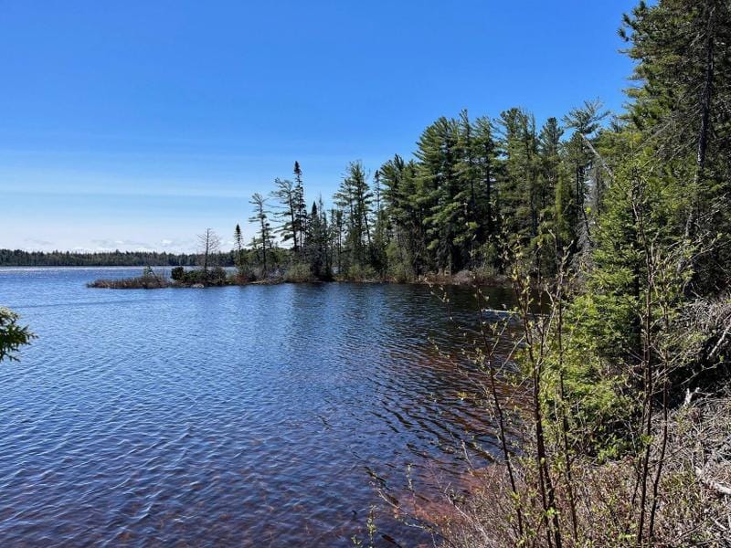 Newberry, Luce County, MI Undeveloped Land, Lakefront Property, Waterfront Property, Homesites for sale Property ID: 416473886