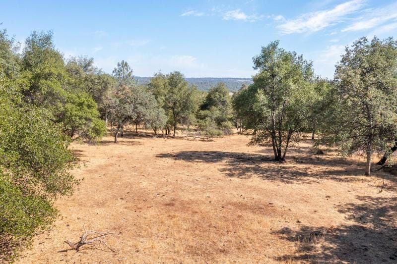 Shingletown, Shasta County, CA Undeveloped Land for sale Property ID: 415420397