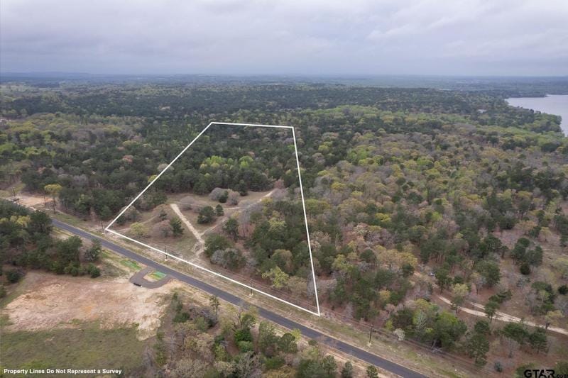 Larue, Henderson County, TX Lakefront Property, Waterfront Property for sale Property ID: 416085970