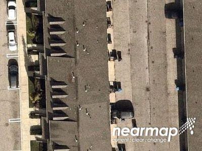 Poplar 101 for Sale