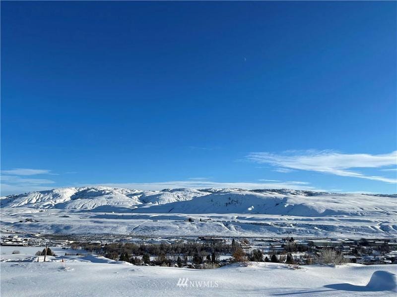 4 LOT PARKS DRIVE, Okanogan, WA 98840 Land For Sale  MLS# 1733291