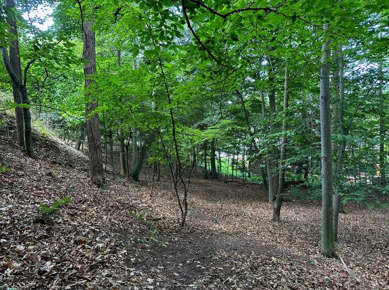 6625 Forest Beach Dr, Holland, MI 49423 - MLS 23023591 for Sale