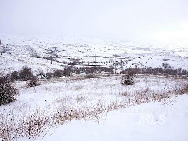 TBD MESA ROAD, Mesa, ID 83643 Land For Sale  MLS# 98898212