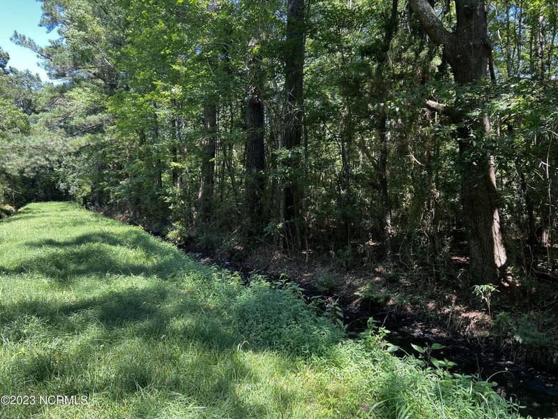Belhaven, Beaufort County, NC Undeveloped Land, Homesites for sale Property ID: 417367149