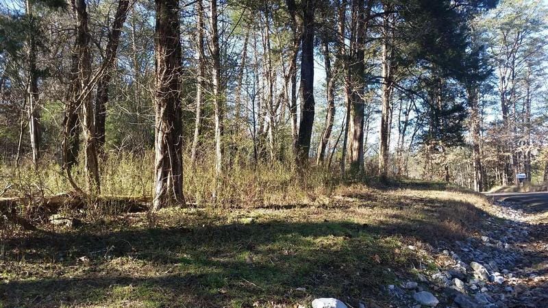 2010 Tahlequah Lane, Mooresburg, TN 37811  608229308 for Sale
