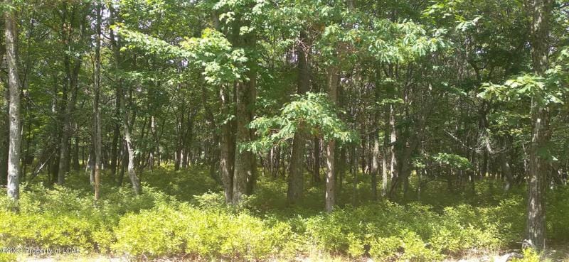 Hazleton, Luzerne County, PA Undeveloped Land, Homesites for sale Property ID: 416240879