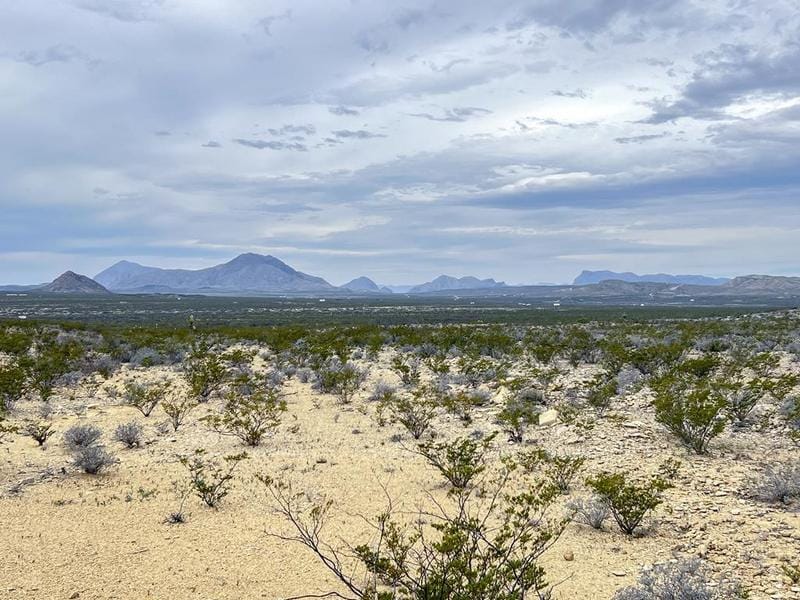 TR NC556 E Helt Dr, Terlingua, TX 79852 for Sale