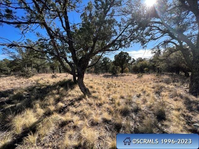 Silver City, Grant County, NM Undeveloped Land, Homesites for sale Property ID: 418498042
