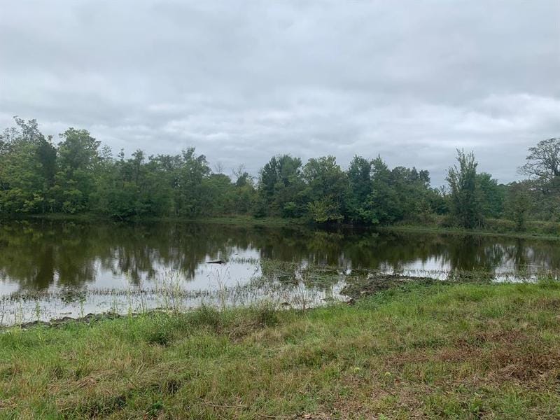25572 Johnson Rd, Montgomery, TX 77356 for Sale
