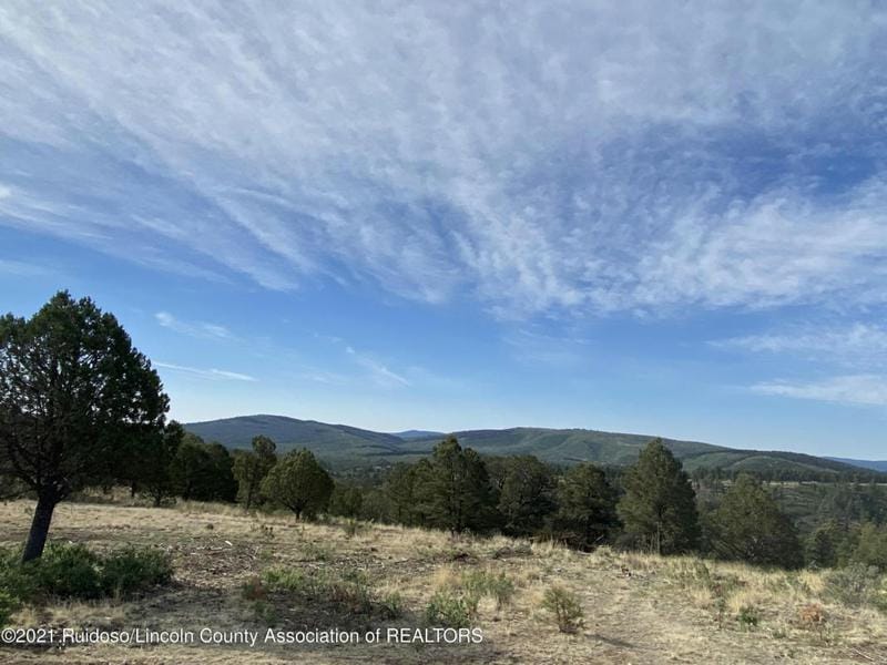 L21D GENE SARRASIN COURT, Alto, NM 88312 Land For Sale  MLS# 126637