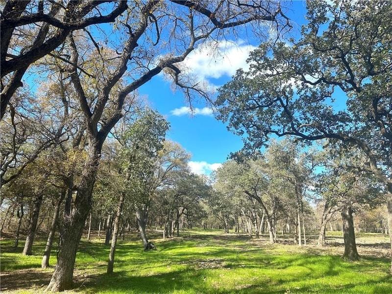 95+/- Ac. Tbd Hobbs Lane, Waco, TX 76706 for Sale