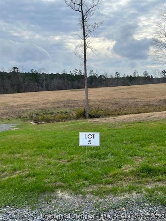 KEY ROAD ROAD LOT 5, Sanford, NC 27330 Mobile Home For Sale  MLS# 716617