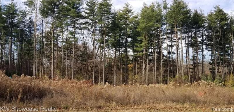 3787 Kerriel Ct, Commerce Township, MI 48382 - MLS 20230092132 for Sale
