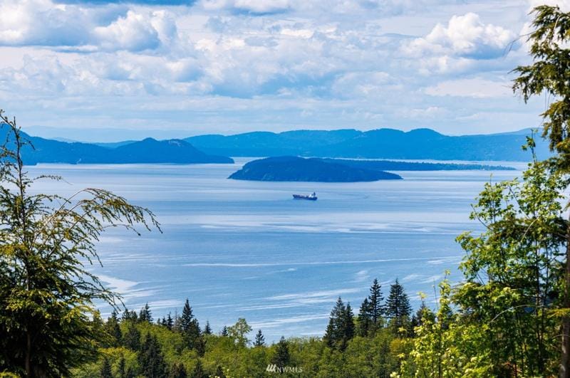 3120 Blanchard Knob Trl, Bow, WA 98232 - MLS 1944166 for Sale