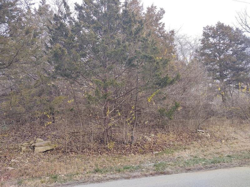 0 Lot 25 Hillcrest, House Springs, MO 63051 - MLS 21025082 for Sale