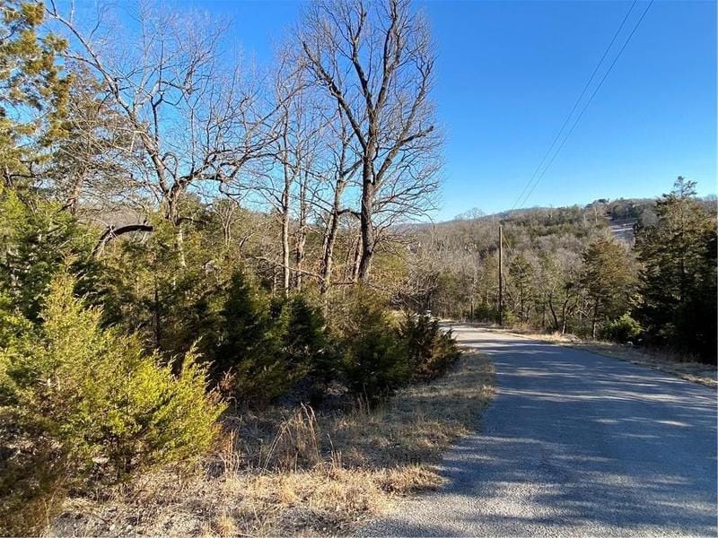 Holiday Island, Carroll County, AR Undeveloped Land, Homesites for sale Property ID: 413151210