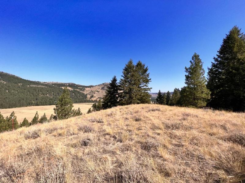Malo, Ferry County, WA House for sale Property ID: 417240042
