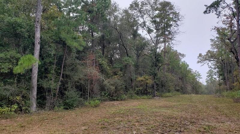 14601 Peterson Rd, Montgomery, TX 77356 - MLS 50963030 for Sale