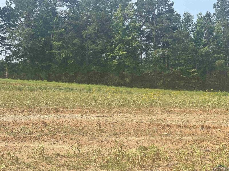 Hallsville, Harrison County, TX Undeveloped Land, Homesites for sale Property ID: 416636360