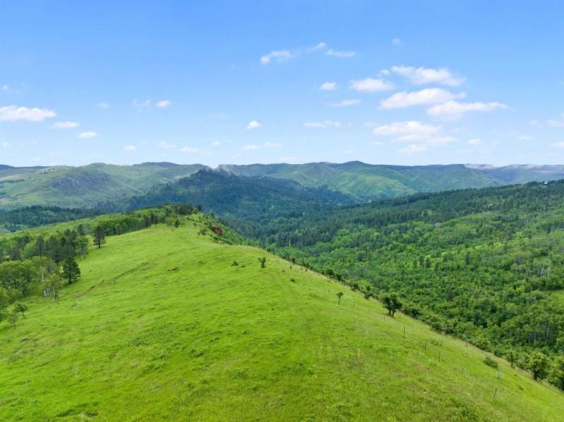 Deadwood, Lawrence County, SD Homesites for sale Property ID: 416782487
