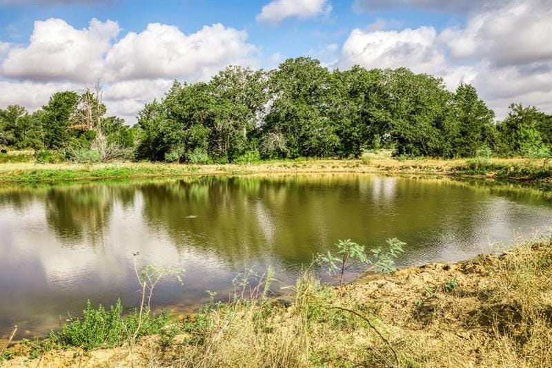3266 CR 163, Caldwell, TX 77836 for Sale