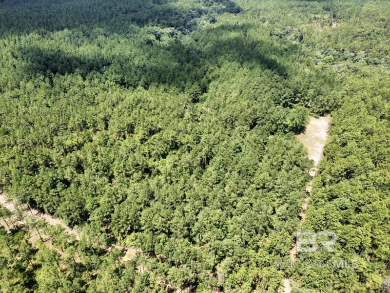 0 RABUN ROAD, Bay Minette, AL 36507 Single Family Residence For Sale  MLS# 351118