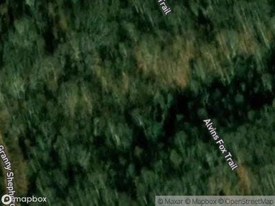 Alvins Fox Trail for Sale