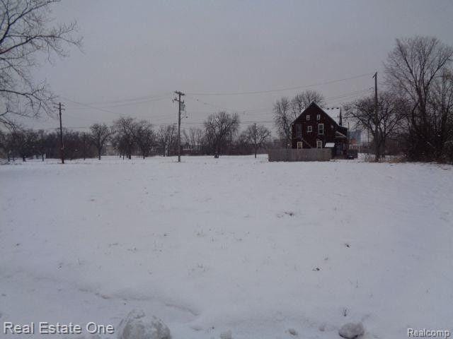 Detroit, Wayne County, MI Undeveloped Land, Homesites for sale Property ID: 415737243