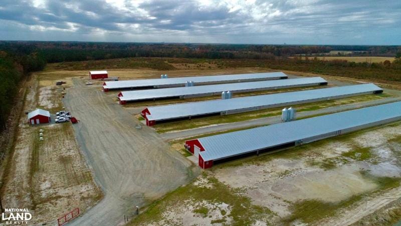 Magnolia, Duplin County, NC Farms and Ranches, Undeveloped Land for sale Property ID: 418347674