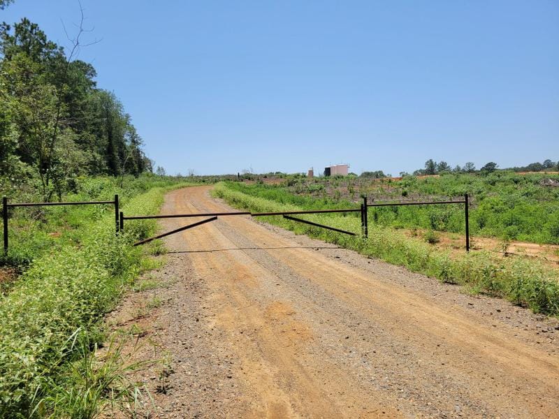 Linden, Cass County, TX Timberland Property, Undeveloped Land, Hunting Property for sale Property ID: 417046368