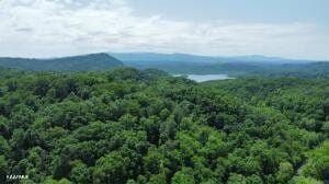 Maryville, Monroe County, TN Farms and Ranches for sale Property ID: 416978835