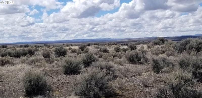 Christmas Valley, Lake County, OR Undeveloped Land for sale Property ID: 415858715
