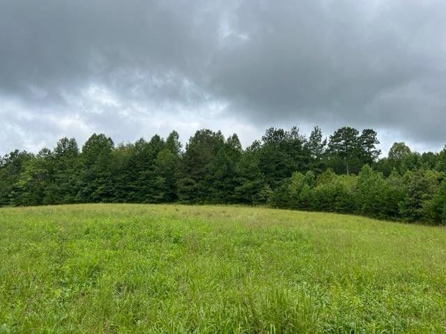Appomattox, Appomattox County, VA Undeveloped Land for sale Property ID: 417521937