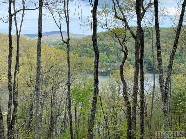 Cullowhee, Jackson County, NC Undeveloped Land, Homesites for sale Property ID: 413594364