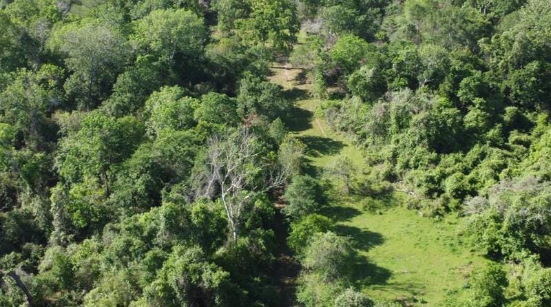 0 Waters Rd Rd, Hempstead, TX 77445 - MLS 22671891 for Sale