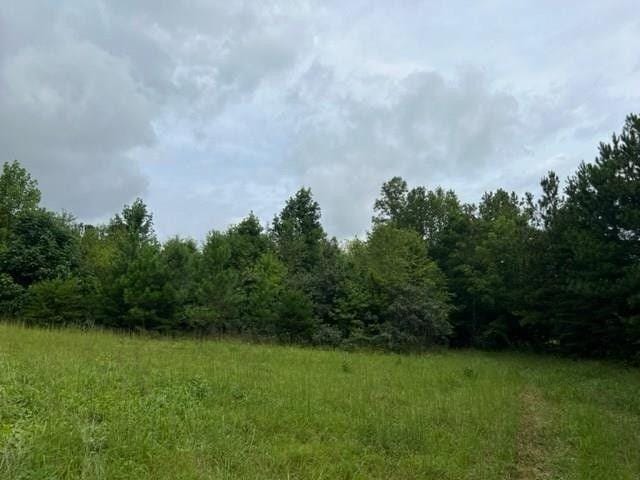 Appomattox, Appomattox County, VA Undeveloped Land for sale Property ID: 417521939