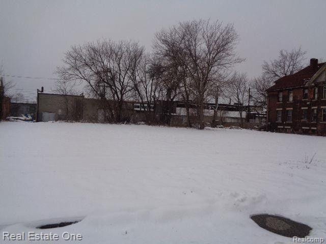 Detroit, Wayne County, MI Undeveloped Land, Homesites for sale Property ID: 415737240