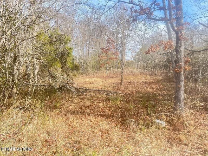 Newport, birde County, TN Homesites for sale Property ID: 418614992
