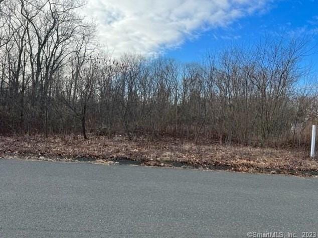 39 Princeton Dr #LOT 79, Avon, CT 06001 - MLS 170561016 for Sale