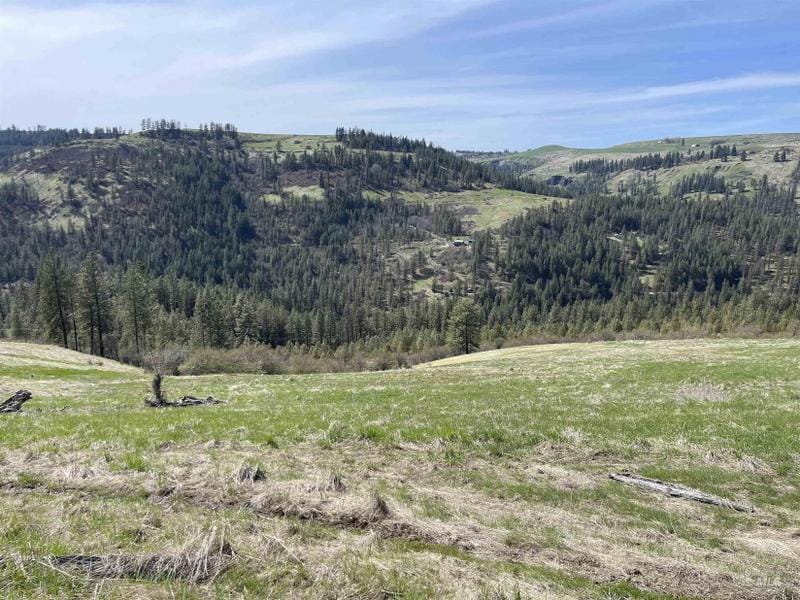 Harpster, Idaho County, ID Farms and Ranches, Homesites for sale Property ID: 416466320