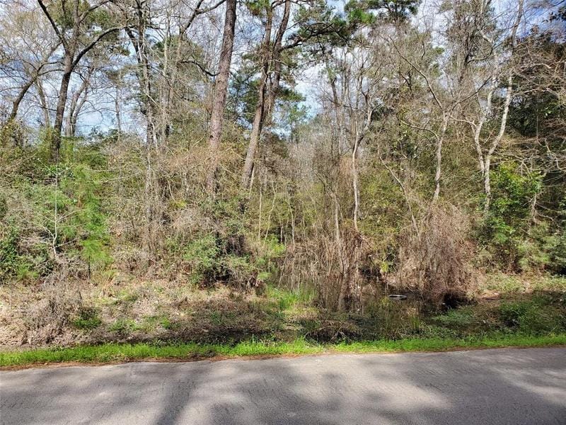 0 Long Lake, Magnolia, TX 77355 for Sale