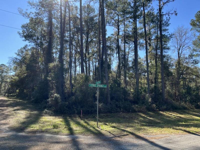 1102 E SALEM CT, Citrus Springs, FL 34434 Land For Sale  MLS# RX-10947162