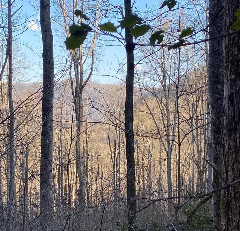 0 birder Spaniel Ct #12, Whittier, NC 28779 - MLS 4001482 for Sale