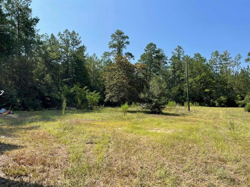 278 Pr 8512 Off County Road 4510, HILLISTER, TX 77624 for Sale